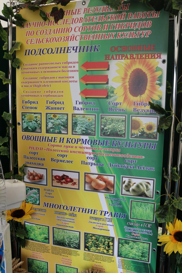 Полесский институт растениеводства на БЕЛАГРО-2014
