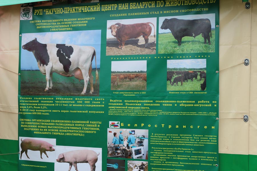 НПЦ по животноводству на БЕЛАГРО-2014