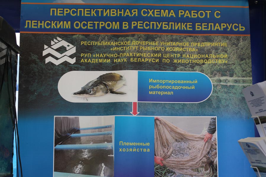Институт рыбного хозяйства на БЕЛАГРО-2014