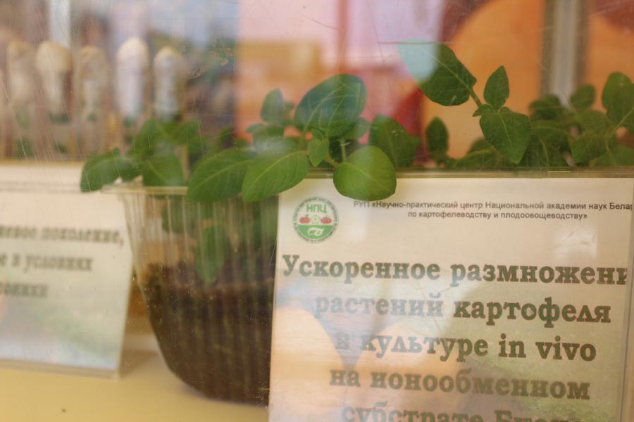 НПЦ по картофелеводству и плодоовощеводству на БЕЛАГРО-2014