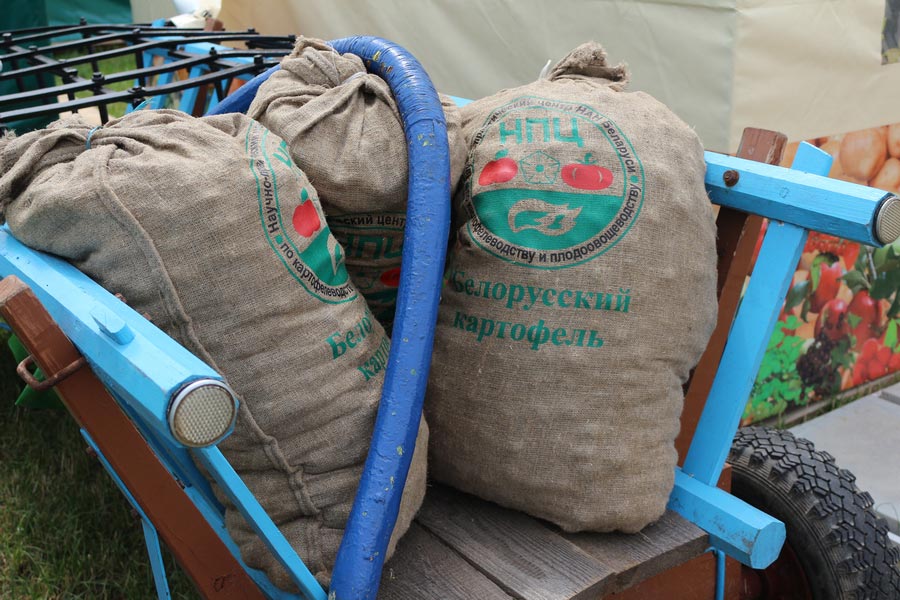 НПЦ по картофелеводству и плодоовощеводству на БЕЛАГРО-2014