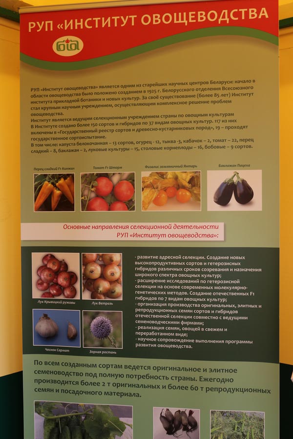 Институт овощеводства на БЕЛАГРО-2014