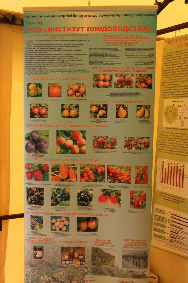 Институт плодоводства  на БЕЛАГРО-2014