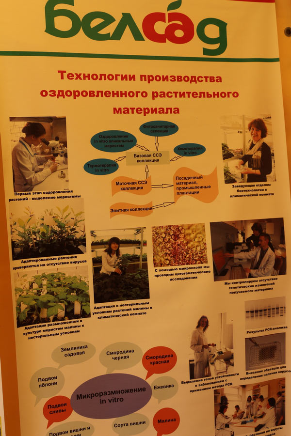 Институт плодоводства  на БЕЛАГРО-2014