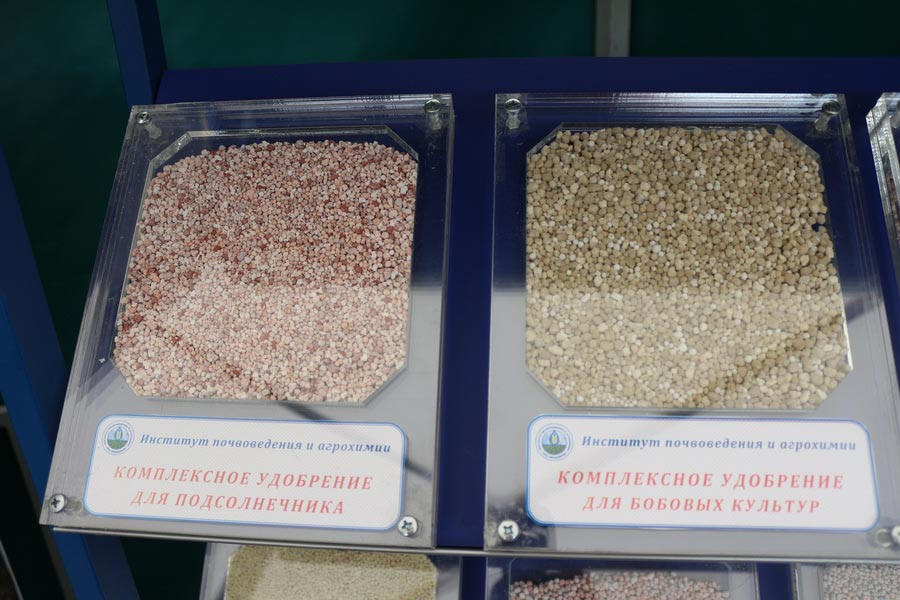 Комплексные удобрения для подсолнечника и бобовых культур, разработанные в Институте почвоведения и агрохимии