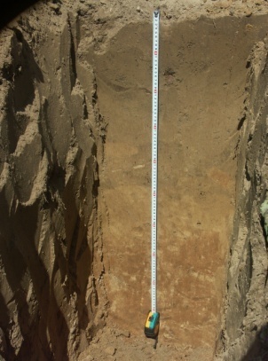 Катена (Хорошо окультуренная) дерново-палево-подзолистых почв на лессовидных суглинках. Исследования Института почвоведения и агрохимии 2016 г.