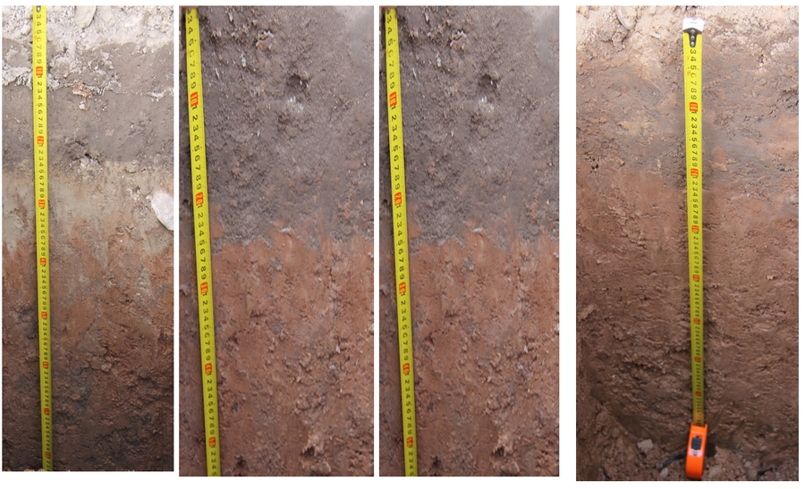 Дерново-подзолистые почвы разной степени эродированные почвы, развивающееся на мощных моренных суглинках. Исследования Института почвоведения и агрохимии 2015 г.
