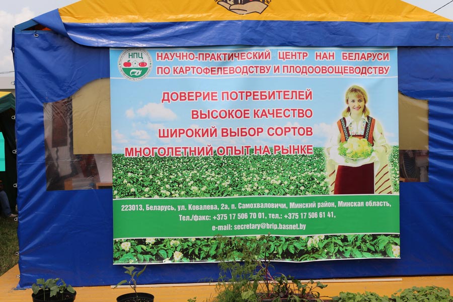 НПЦ по картофелеводству и плодоовощеводству на БЕЛАГРО-2016.