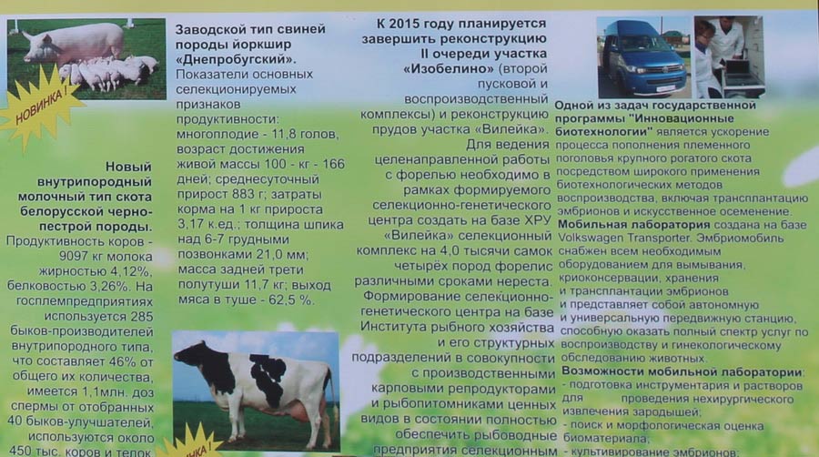 Научно-практический центр НАН Беларуси по животноводству. Инновационные разработки в животноводстве