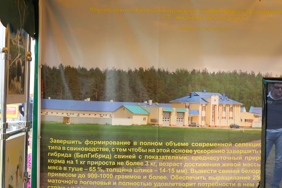 ЖодиноАгроПлемЭлита на БЕЛАГРО-2014, ОАО Гастелловское, 3-8 июня 2014 г.