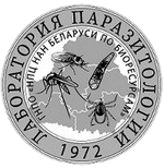 ������������������ ������������ � �������� � �� ������������ �����������