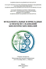 ��������������� � ���������� ������� ������������ ������������� �������