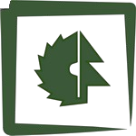 �������� ����������-2025