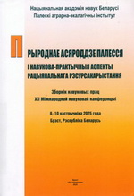 ��������� ����� ������� � ������-������������ ������� ������������� ������������������