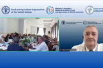 ФАО доклад
